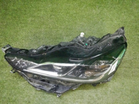DSCN5478.jpg