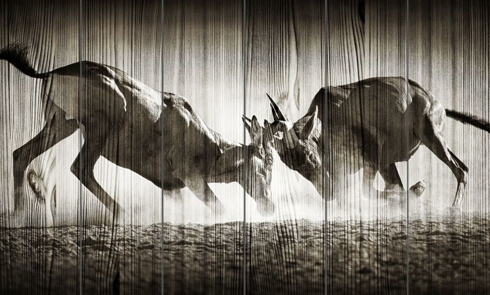 Панно из дерева Red hartebeest dual in dust