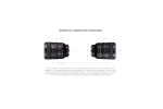 Объектив Sony FE 100mm f/2.8 Macro GM