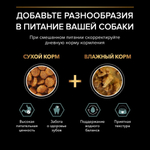 Сухой корм Ягнёнок  для взрослых собак мелких пород Pro Plan РАЗВЕСНОЙ