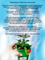 Перец Ушу пёстролистный острый домашний