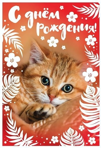 Открытка "С Днем Рождения!" 12*18 см. диз.2 (Сфера)