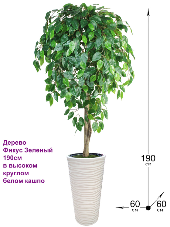 Искусственное дерево Фикус Зеленый 190 см в высоком круглом белом кашпо