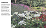 Planting the Natural Garden by Piet Oudolf and Henk Gerritsen