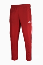 Штаны adidas Entrada 22 Presentation - красный