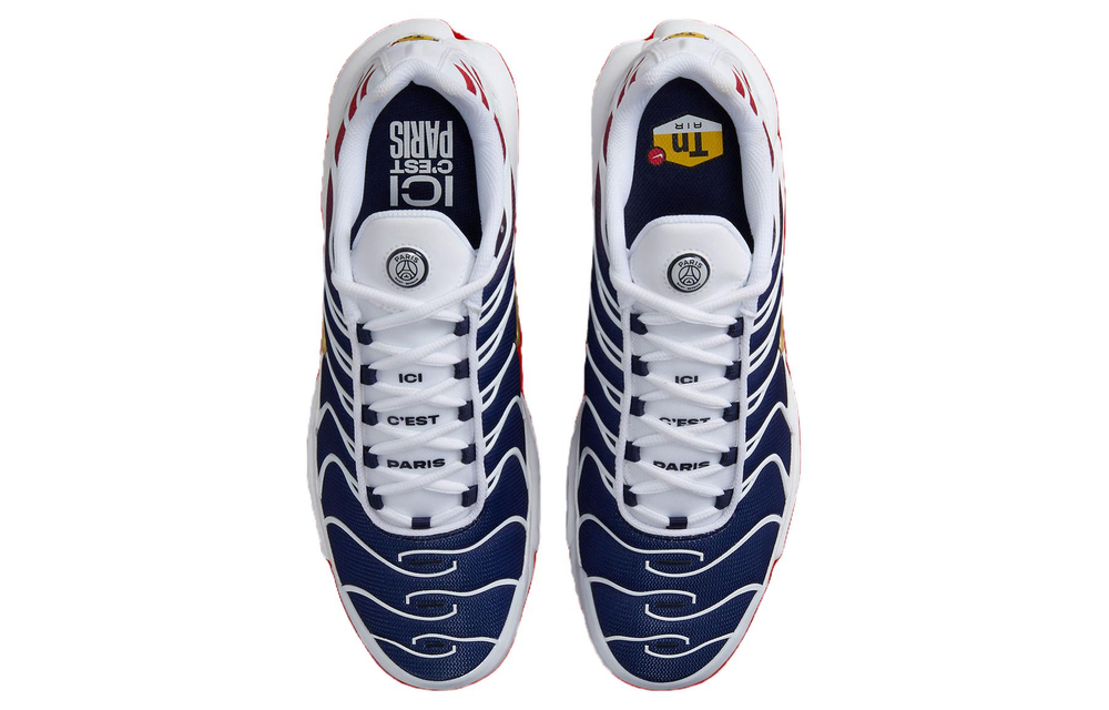 Nike Air Max Plus PSG