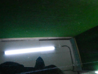 DSCN5468.JPG