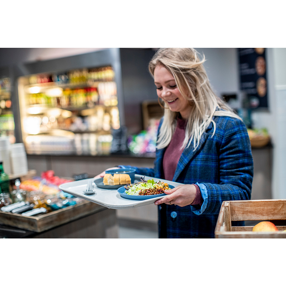 Миска CONNECT Organic 400мл синяя Koziol
