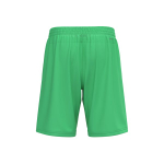 Шорты игровые детские Element Short Y — Light green spark