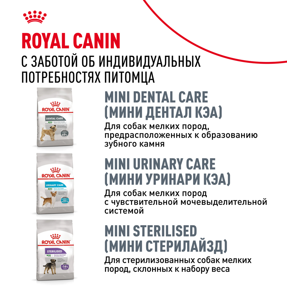 Royal Canin Mini Digestive Care Корм сухой для взрослых собак мелких размеров с чувствительным пищеварением - 3 кг