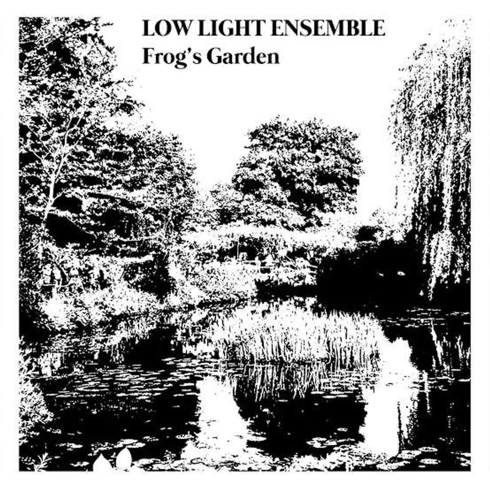Low Light Ensemble - Frog's Garden - Private Press