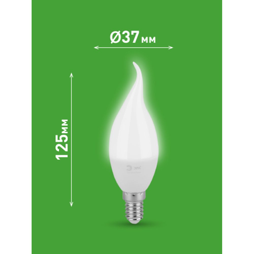 Лампа светодиодная ЭРА GREEN LINE LED BXS-8W-840-E14 GL 8Вт свеча на ветру яркий белый свет E14 | Лампы cветодиодные Свеча (B/C)