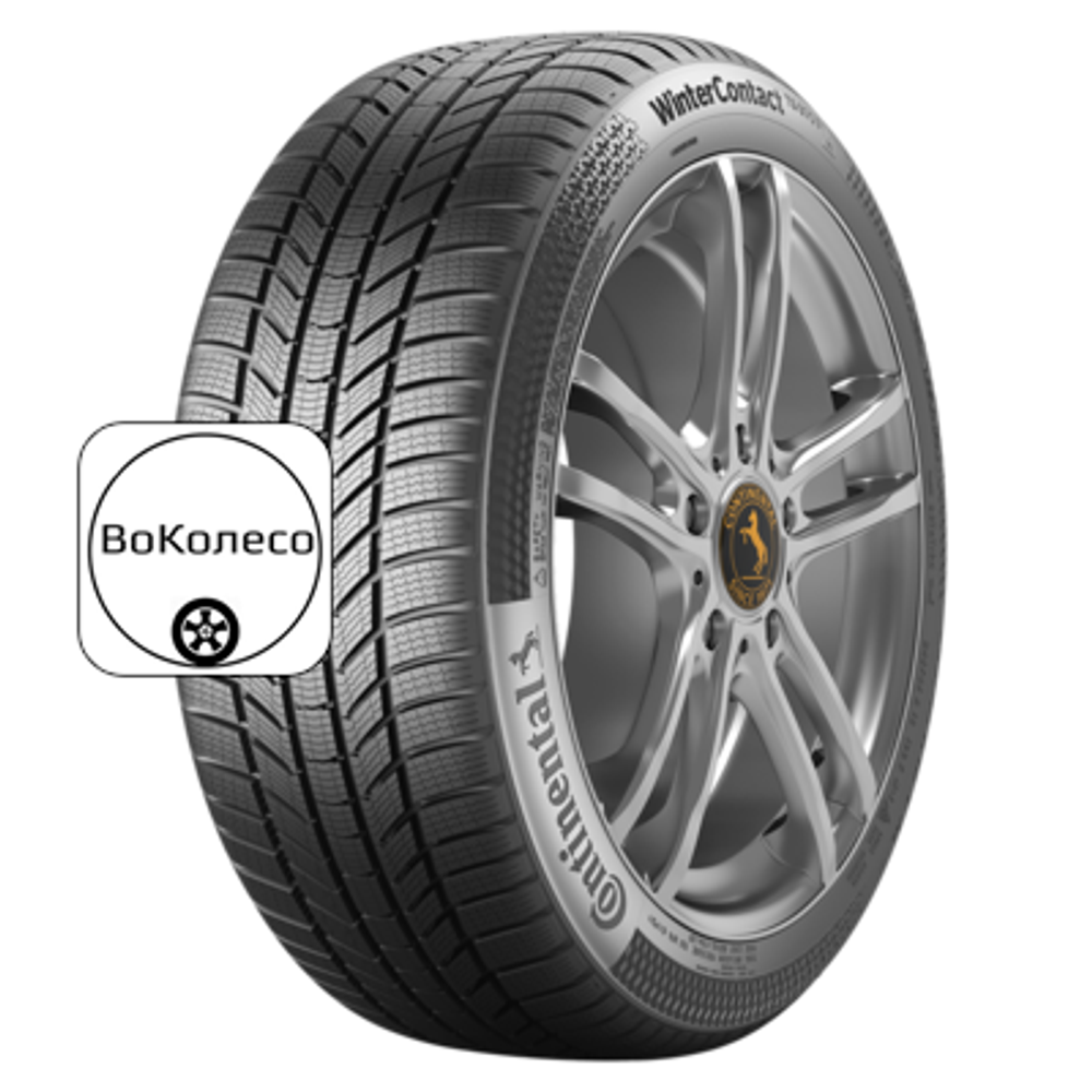 255/45R19 104V XL WinterContact TS 870 P TL FR Continental