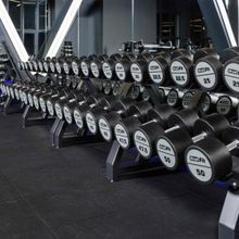 Гантель полиуретановая PROFI-FIT 55 кг