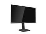 Монитор Aoc X24P1