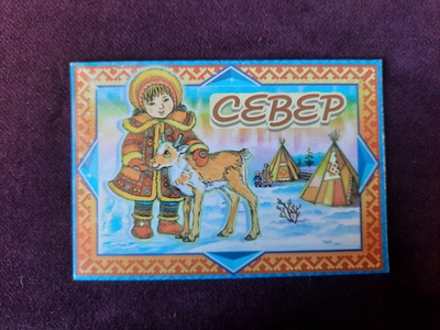 Магнит "Север"
