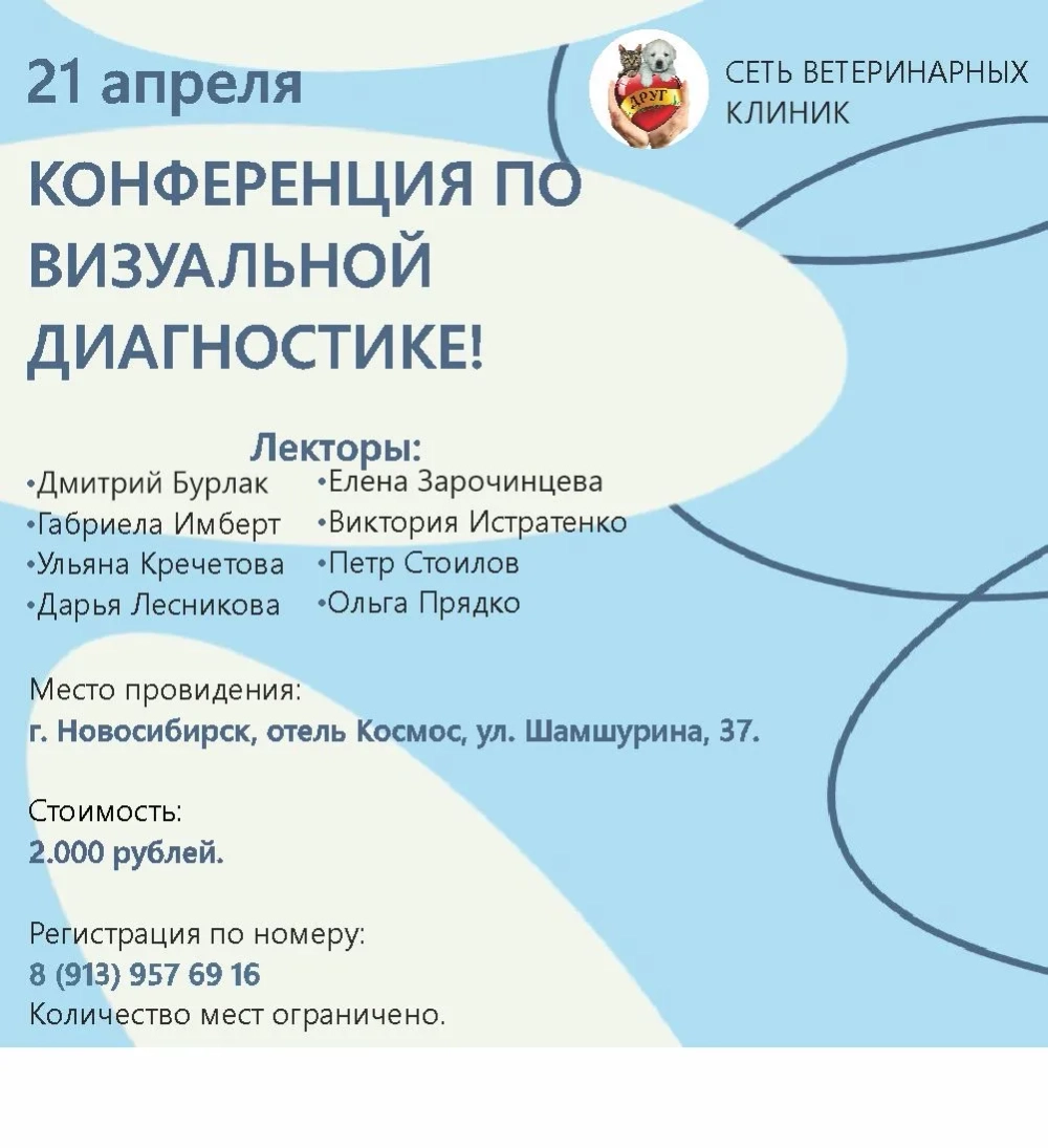 Конференция по визуальной диагностике