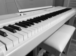 Yamaha P-515