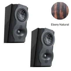 Perlisten Audio S4s Special Edition Ebony Natural