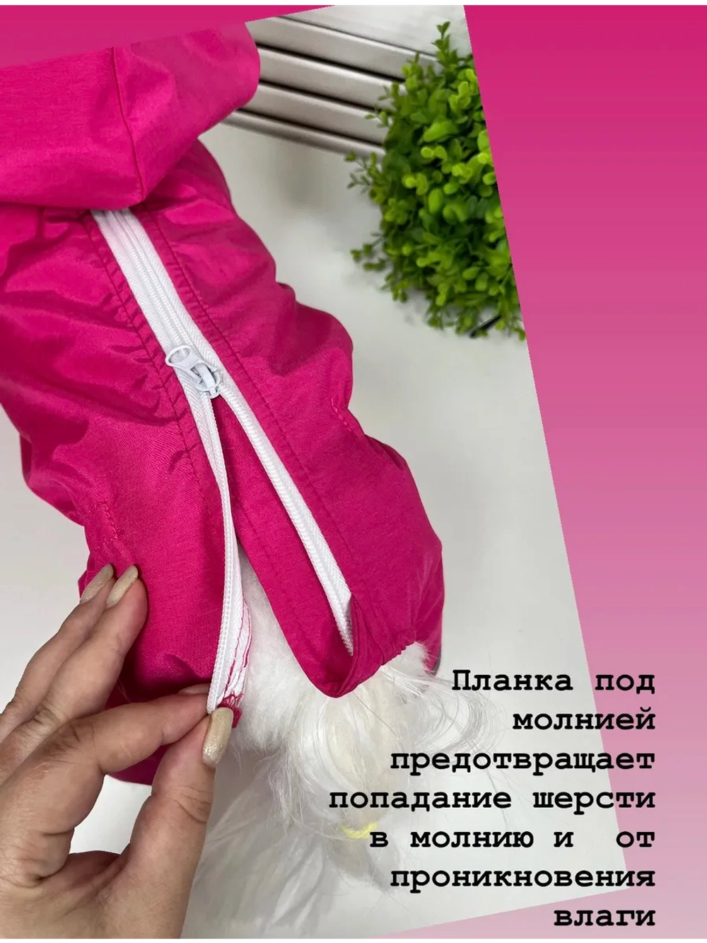 Дождевик для собак, водонепроницаемый