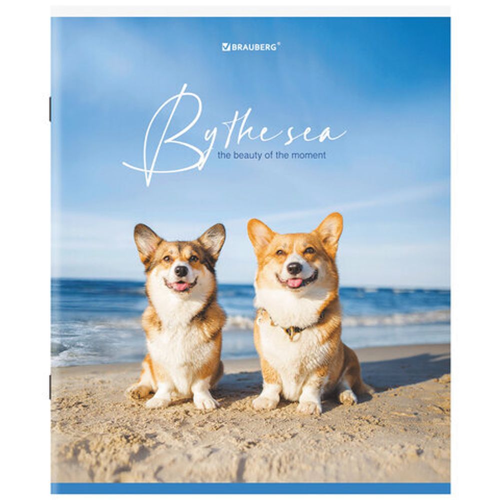 Тетрадь А5, 80 л., BRAUBERG, скоба, клетка, обложка картон, "By the Sea", 404410, 5шт