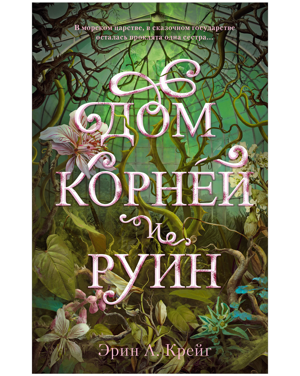 Дом корней и руин (с мерчем)