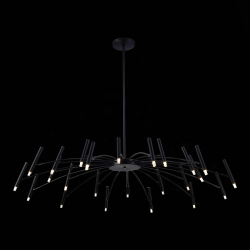 Светильник потолочный ST Luce Spidey SL1214.402.24