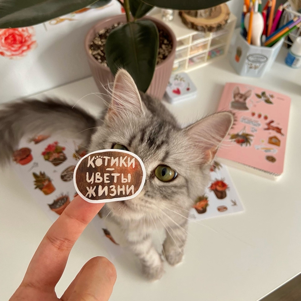 стикерпак «цветы жизни» 🐈🌸