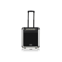 Soundking PA10W