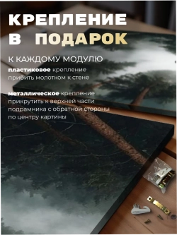 Картина Одинокий сокол над лесом модульная 50x70см 3шт.