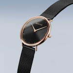 Наручные часы Bering 15729-166