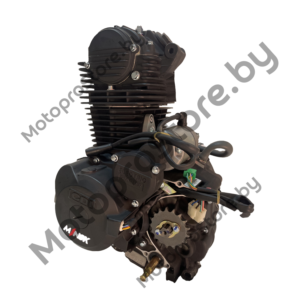 Двигатель 166 FMM