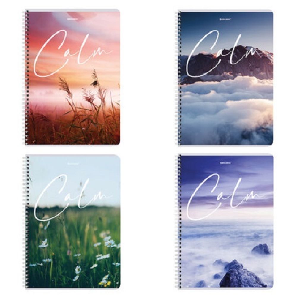 Тетрадь 96л, А4, клетка, на гребне, Brauberg  Calm