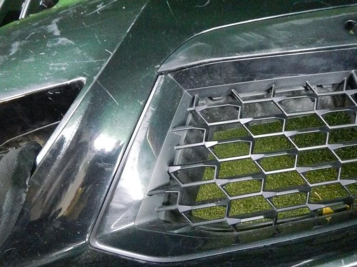 DSCN5506.jpg