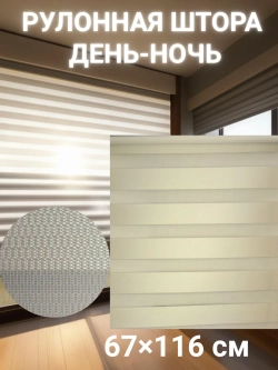 Рулонные шторы День-Ночь 67х116 см