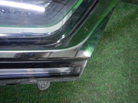 DSCN7075.JPG