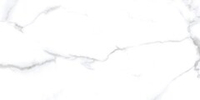 Neodom Classic Marble Statuario Chic Matt 60x120