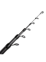 Удилище проводочное Helios Prince carbon, 5m, 10-30g (HS-P-500K)