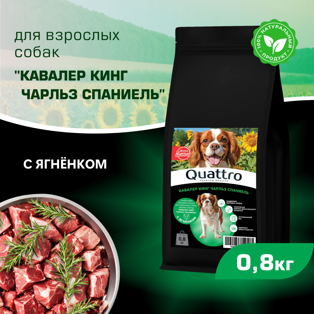 Корм сухой для взрослых собак породы Кавалер кинг Чарльз спаниель, с ягненком, 800 гр, QUATTRO
