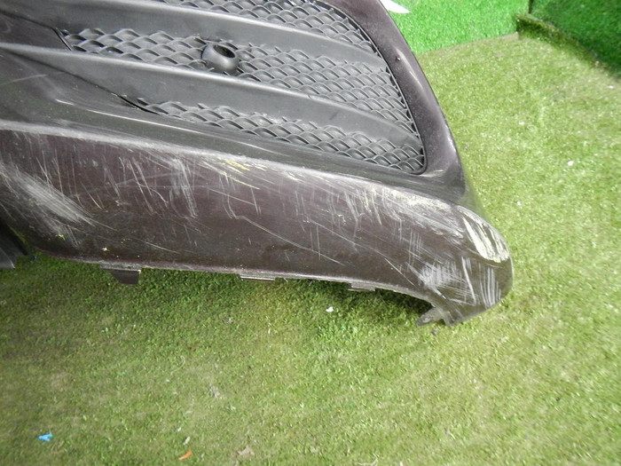 DSCN7309.JPG