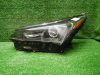 DSCN8669.JPG
