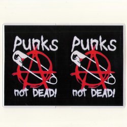 Обложка Punks Not Dead булавка (323)