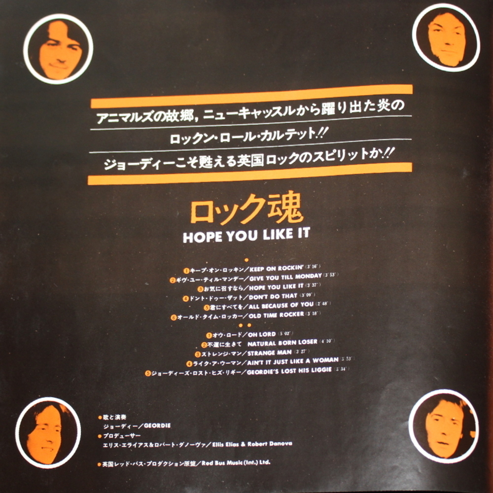 Geordie / Hope You Like It (LP)