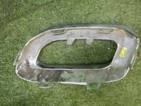 DSCN3571.jpg
