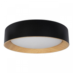 Потолочный светодиодный светильник Loft It Coin 10202 Black
