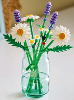 Конструктор Лего Ботаникалс Ромашки 11508 | LEGO Botanicals Daisies | декоративный набор с цветами 133 деталей 9+