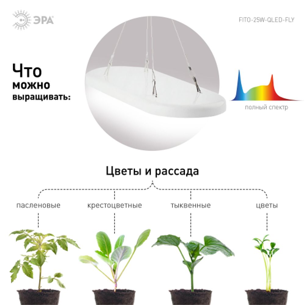 Светильник для растений ЭРА FITO-25W-QLED-FLY подвесной полного спектра 25 Вт | Интерьерные фито светильники