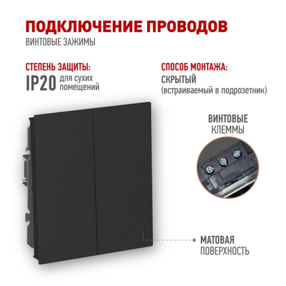 Выключатель ЭРА Arktik 16-1104-05 двойной 10АХ-250В антрацит | Эра Arktik