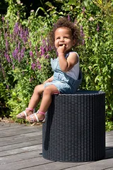 Keter Столик-холодильник Кул-Стул (Cool stool) коричневый — фото 5