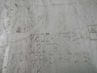 DSCN7388.JPG